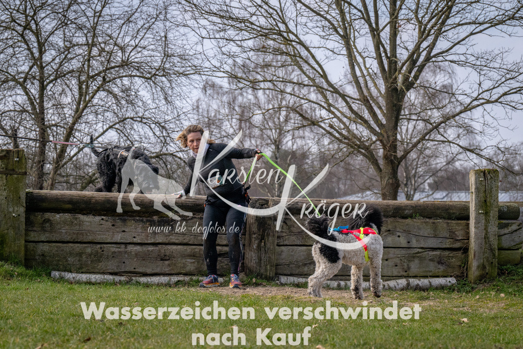 _ZZ90791 | kk-dogfotos