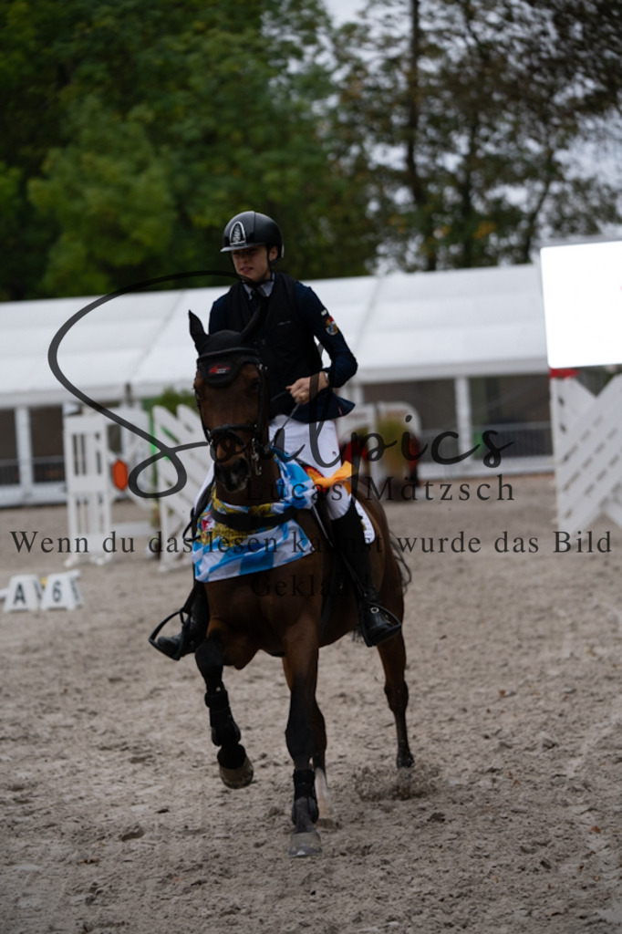 A7V00218 | Pferdefotograf