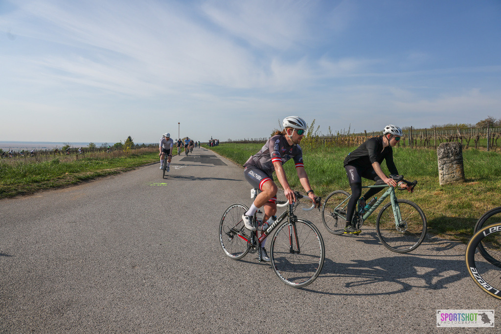 007A8956 | Neusiedlersee Radmarathon #neusiedlerseeradmarathon #neusiedlersee #nrm26 #yourpictrs #sportshot_your_pictrs