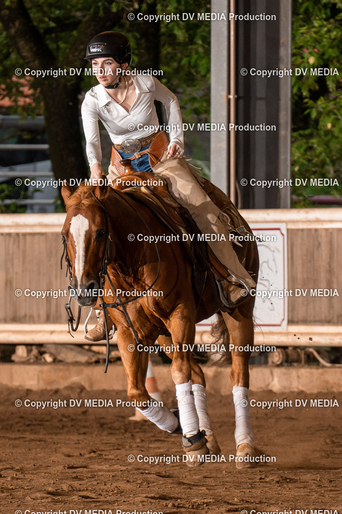 Erbach Tag 3-848 | dv-media-shop - Realisiert mit Pictrs.com