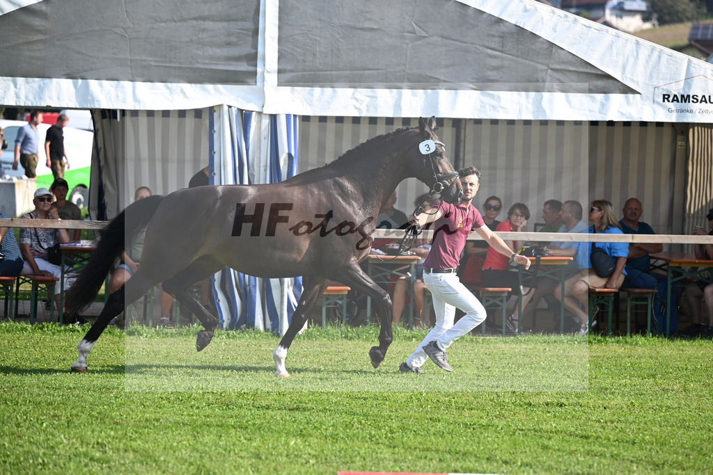 Kat-Nr. 3 Fleur_Hoffmann_34240026 | hf-fotografie - Realisiert mit Pictrs.com