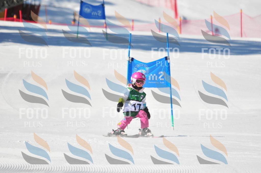 C2473 | holidayphoto