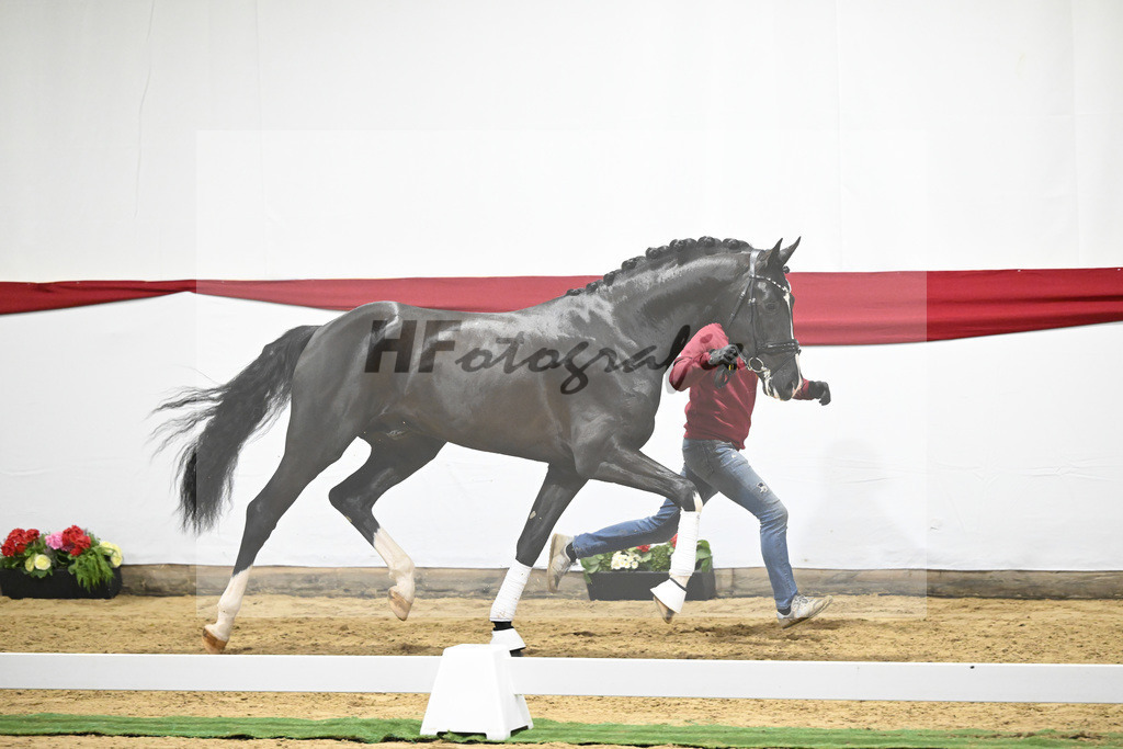 Kat-Nr. 17 v. Sezuan_Logpoint GmbH_63220487 | hf-fotografie - Realizzato con Pictrs.com