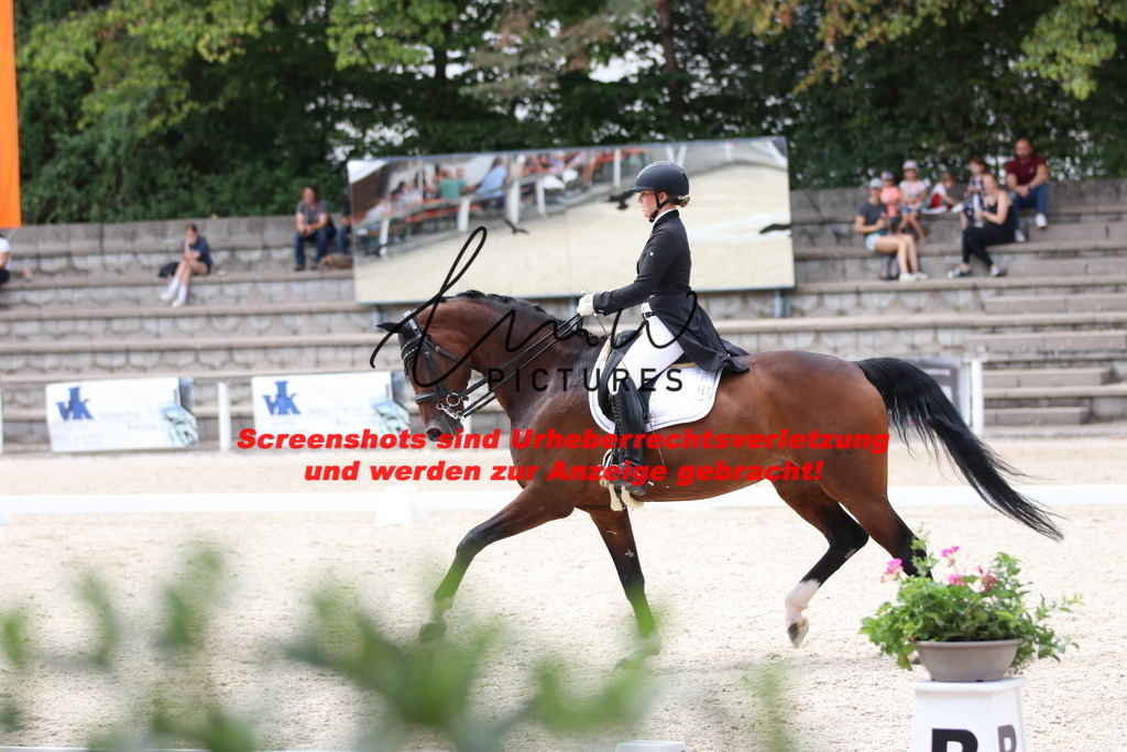 IMG_1723 | lmwpictures - Realisiert mit Pictrs.com