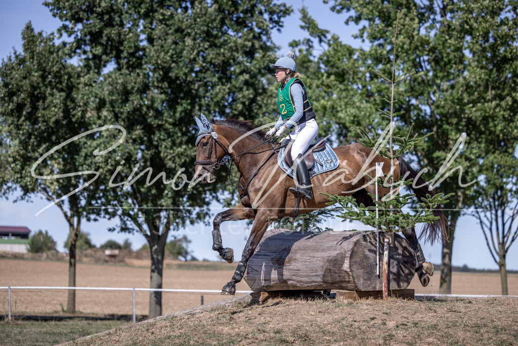 20260906-_3LI5043 | Tierfotografie Pferde, Hunde, Katzen, Haustiere.
Turnierfotografie Reitturniere, Reiten, Springreiten, Dressur in Hanau, dem Main-Kinzig-Kreis und dem Rhein-Main- Gebiet um Frankfurt