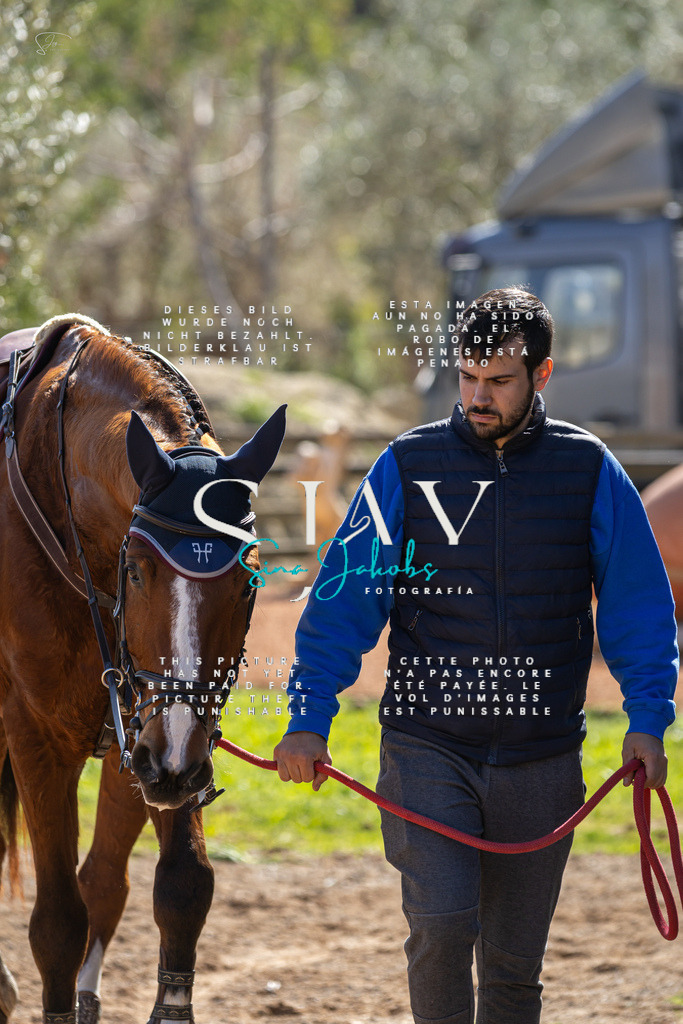 IMG_6330 | s-jay-photography - Realisiert mit Pictrs.com