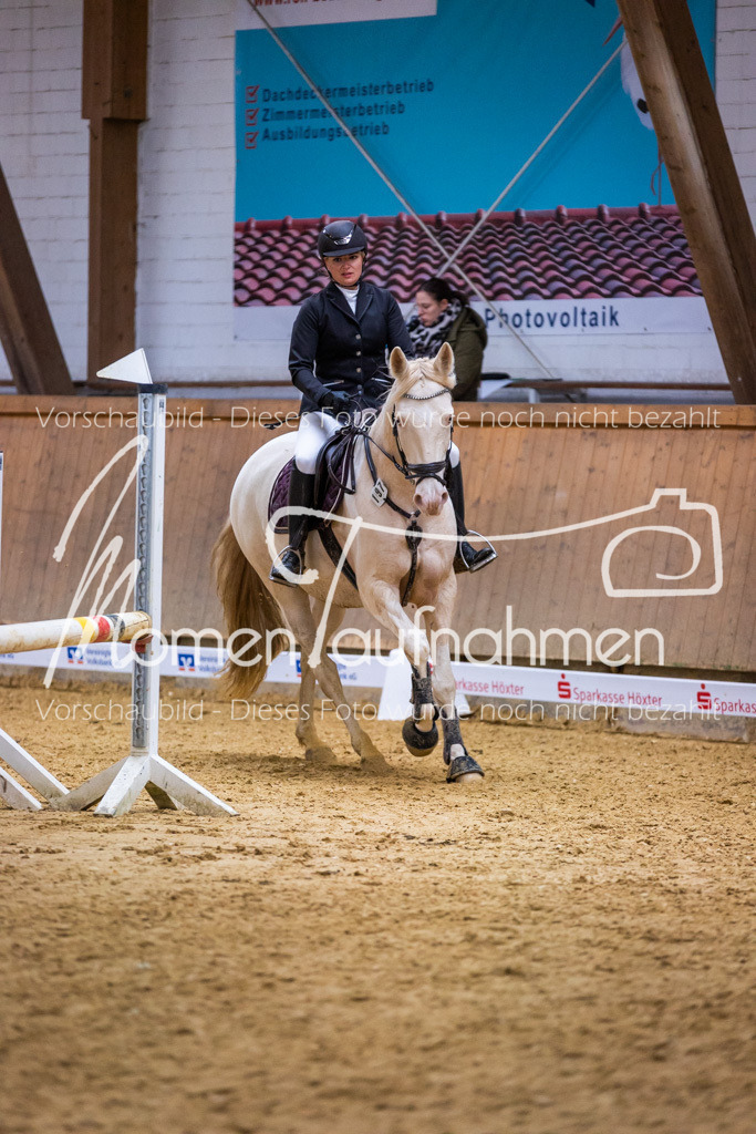 Sth-KombDreSpr-091 | MomenTaufnahmen Pferdesportfotos