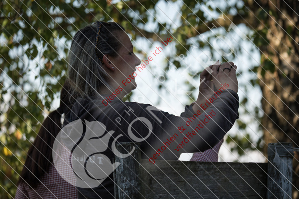 IMG_6160 | Sport-, Event- und Tierfotos in Profiqualität. Einfach auswählen, bestellen und herunterladen. Dein Moment – perfekt festgehalten.