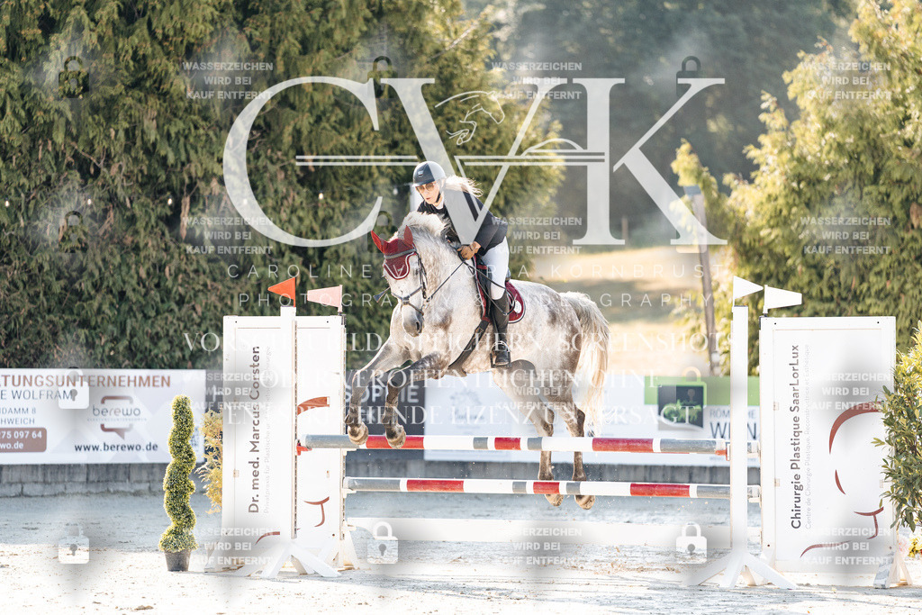 CK907475 | Turnierfotografie Pferdefotografie Trier Rheinland-Pfalz Pferdesport Reitsport Tierfotografie Sportfotografie Pferdevideo Pferdevideografie Equestrianvideography equestrianphotography  - Realisiert mit Pictrs.com