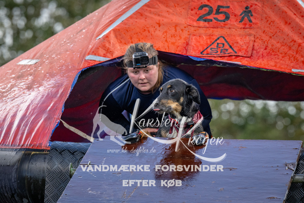 1224-93666 | kk-dogfotos