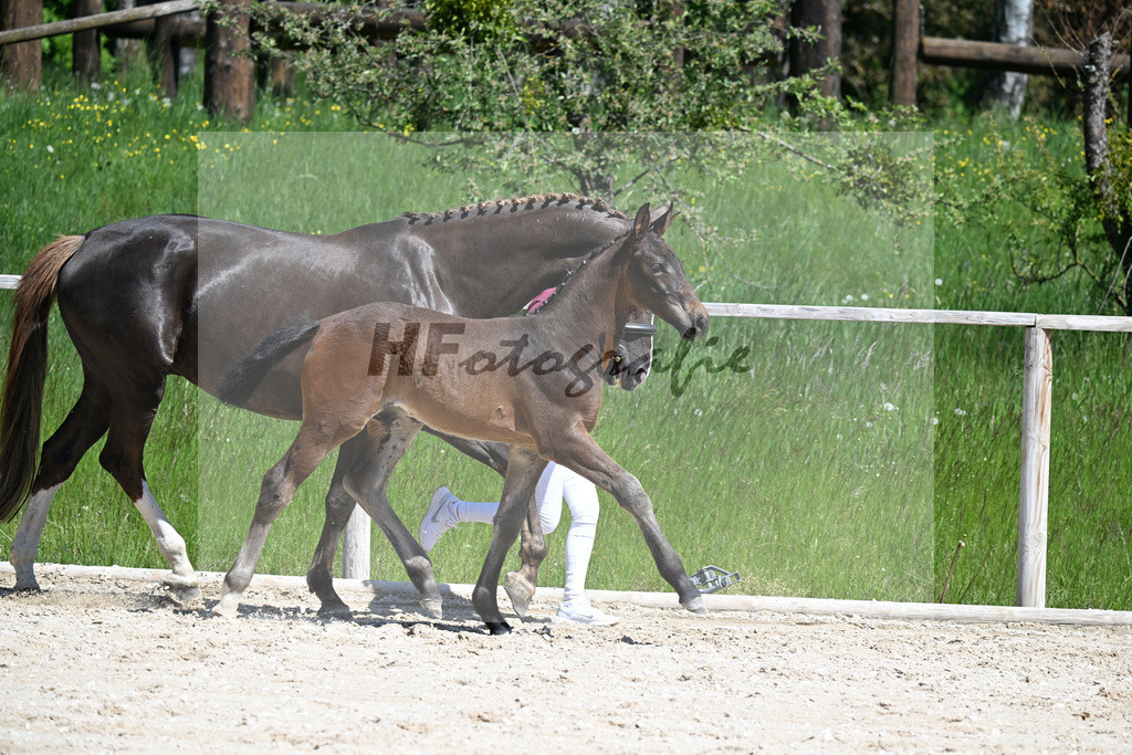 Cornet Obolensky x Kannan_HF_Schroetzlmair_10250198 | hf-fotografie - Realizzato con Pictrs.com