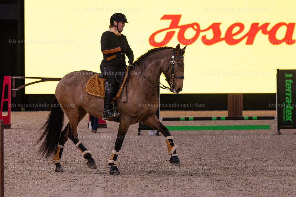 JoseraCup-34 | working equitationturnier fotograf videograf stoibphotography marixx film working equitation deutschland reitsport turnierfotografie eventfotografie equestrian events