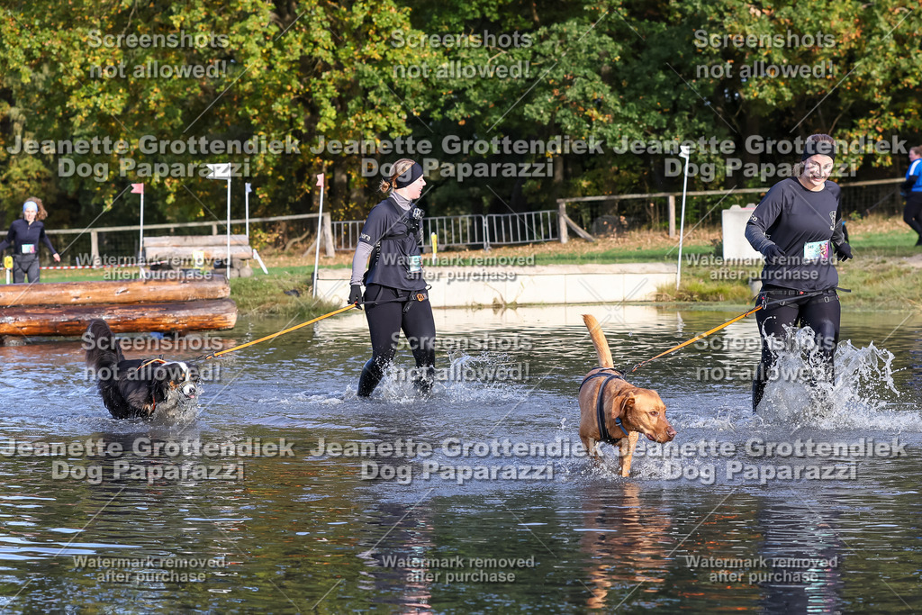 Dog Paparazzi - Strongdog 10-25-8410 | Dog Paparazzi Jeanette Grottendiek Fotografie & Videografie - Realisiert mit Pictrs.com