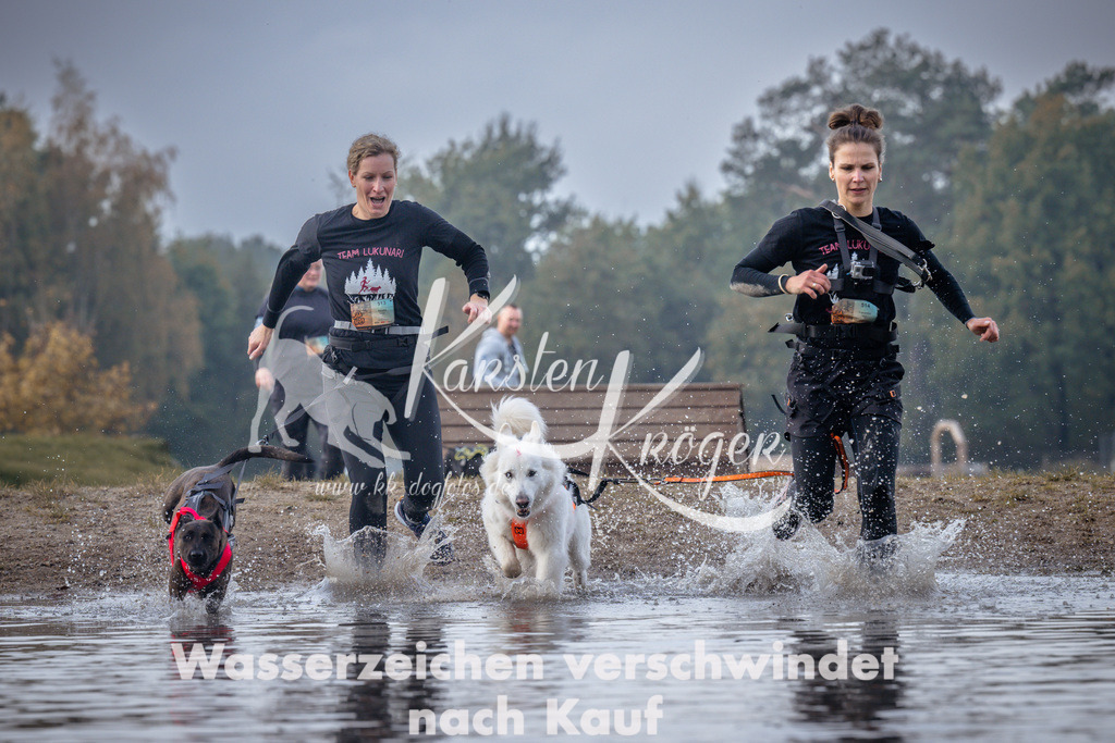 1138_ZZ95688 | kk-dogfotos