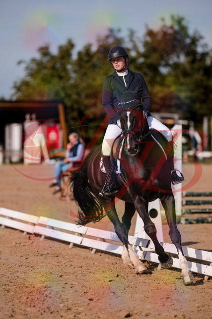 2026_10_03_Siefer-Hof_113746_Z81_81450287 | Professionelle Reitsport-, Turnier- und Eventfotografie von Robert Broda. Galerien mit ausgewählten und bearbeiteten Bildern direkt online ansehen und bestellen.