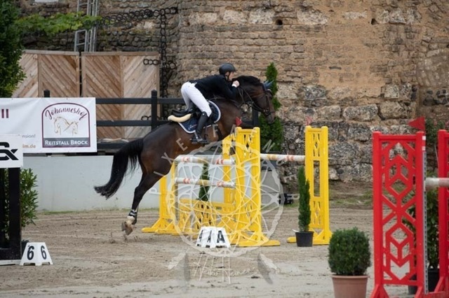 2B4A2452 | pixelfaenger - Realisiert mit Pictrs.com