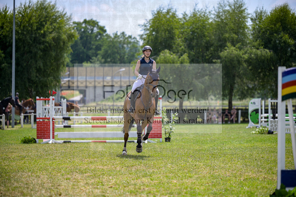 Reitturnier Voxtrup | Entdecke hochwertige Reitturnierfotos von Foto Oger. Professionell, emotional und authentisch – jetzt Lieblingsmomente im Shop bestellen.Deutschlandweite Turnierfotografie. - Realisiert mit Pictrs.com