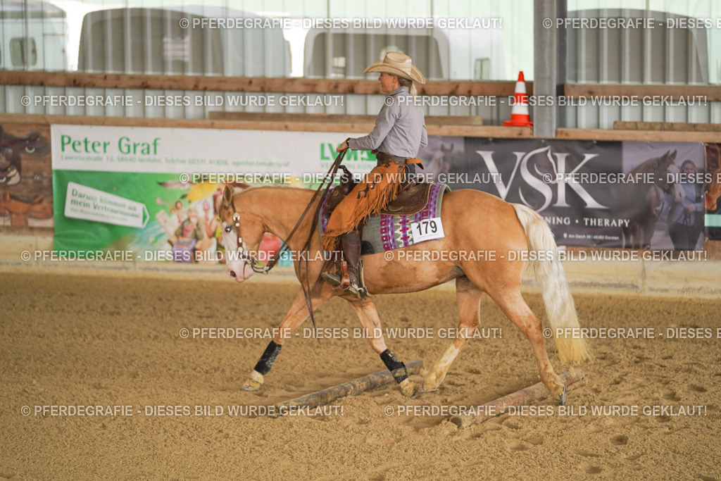 DSC01374 | Pferdegrafie