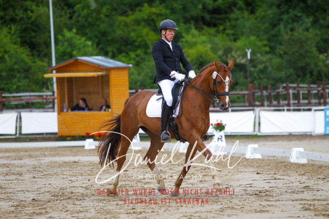 DKP46968 | Turniersportfotografie; Pferdefotografie; Dressurfotografie