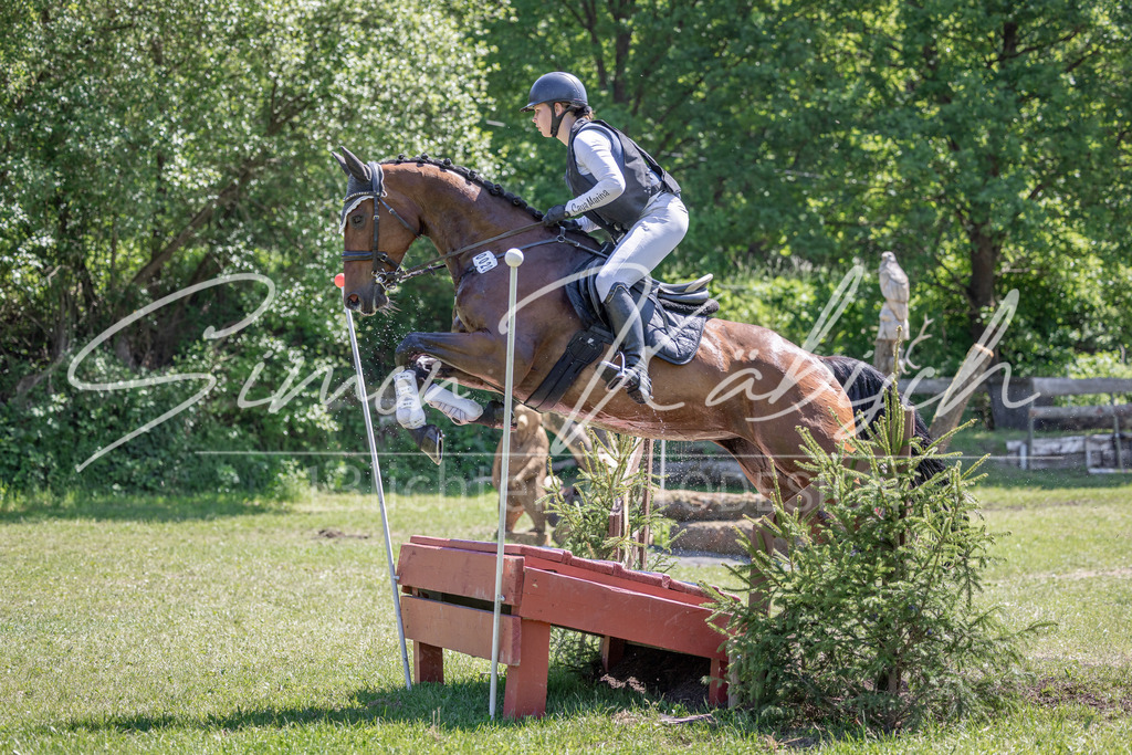 20260523-_3LI8183 | Tierfotografie Pferde, Hunde, Katzen, Haustiere.
Turnierfotografie Reitturniere, Reiten, Springreiten, Dressur in Hanau, dem Main-Kinzig-Kreis und dem Rhein-Main- Gebiet um Frankfurt