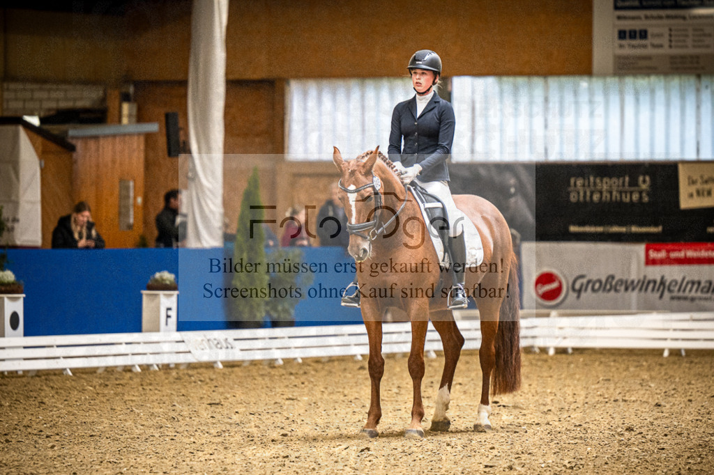 DOS_3095 | Entdecke hochwertige Reitturnierfotos von Foto Oger. Professionell, emotional und authentisch – jetzt Lieblingsmomente im Shop bestellen.Deutschlandweite Turnierfotografie. - Realisiert mit Pictrs.com