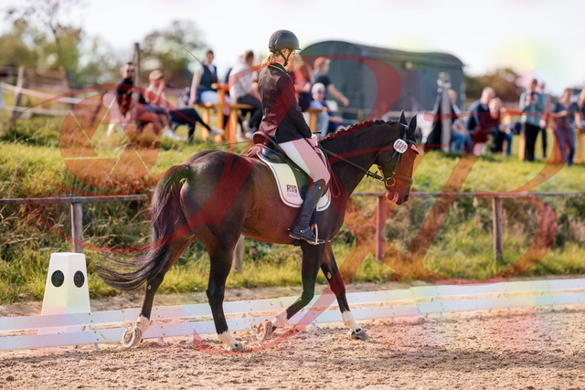 2026_10_03_Siefer-Hof_132530_Z81_76199760 | Professionelle Reitsport-, Turnier- und Eventfotografie von Robert Broda. Galerien mit ausgewählten und bearbeiteten Bildern direkt online ansehen und bestellen.