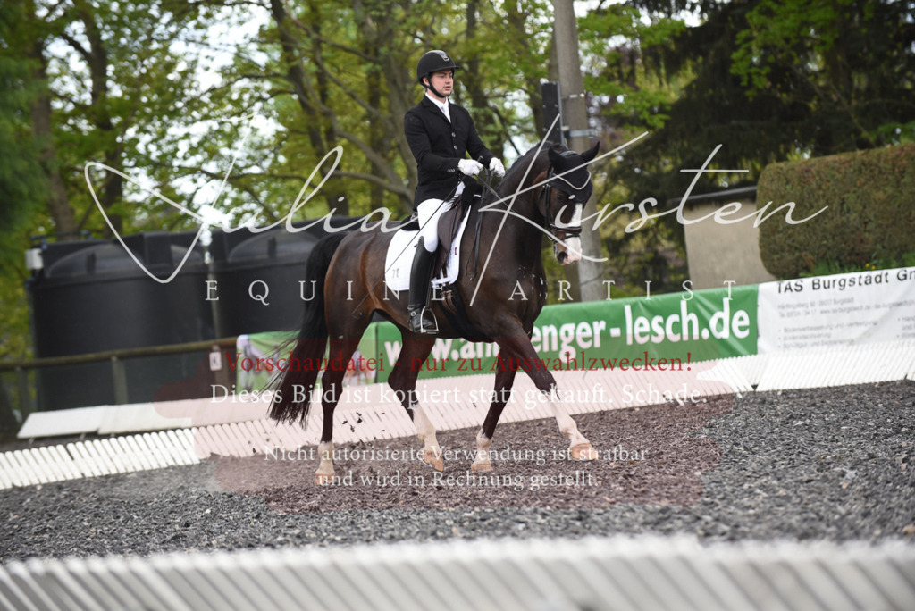 20230513_JK-Röhrsdorf-15-497 | Pferde- und Turnierfotografie in Westsachsen. Pferdeportraits, Auftragszeichnungen und intuitive Kunst.