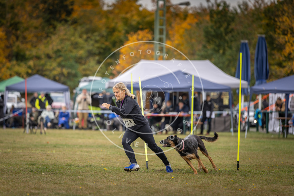 Pfotenfotografie_DV3A5721 | Hundefotografie, Tierfotograf, Pfotenfotografie, Fotoshooting Hund, Hunde Portrait, Hundesport, Hundeportraits, Heideshooting, Hunde, Sportfotograf, Hundefotograf, Turnierhundsport, THS,  - Realisiert mit Pictrs.com