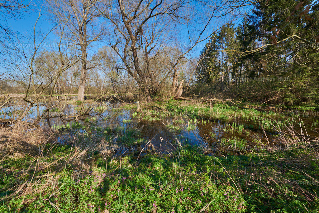 An einem Altarm der Weißen Elster bei Lützkewitz 04 | Bedeutsame Landschaften Deutschlands - Realisiert mit Pictrs.com