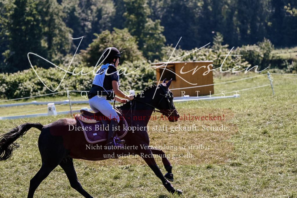DSC_1960 | Pferde- und Turnierfotografie in Westsachsen. Pferdeportraits, Auftragszeichnungen und intuitive Kunst.