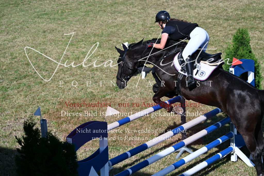 DSC_2423 | Pferde- und Turnierfotografie in Westsachsen. Pferdeportraits, Auftragszeichnungen und intuitive Kunst.