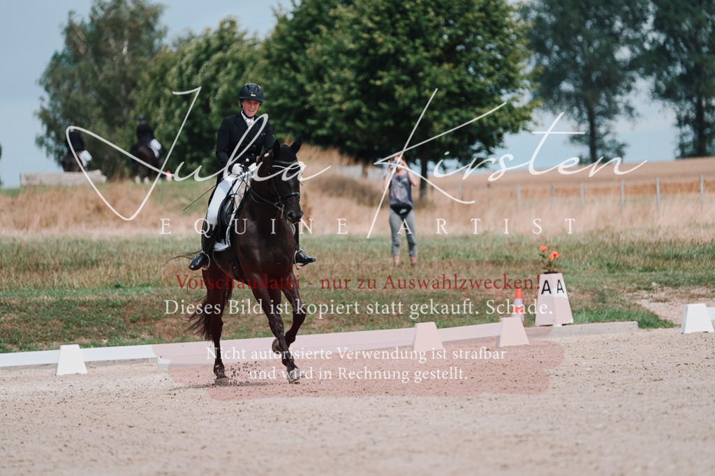 DSC_4275 | Pferde- und Turnierfotografie in Westsachsen. Pferdeportraits, Auftragszeichnungen und intuitive Kunst.