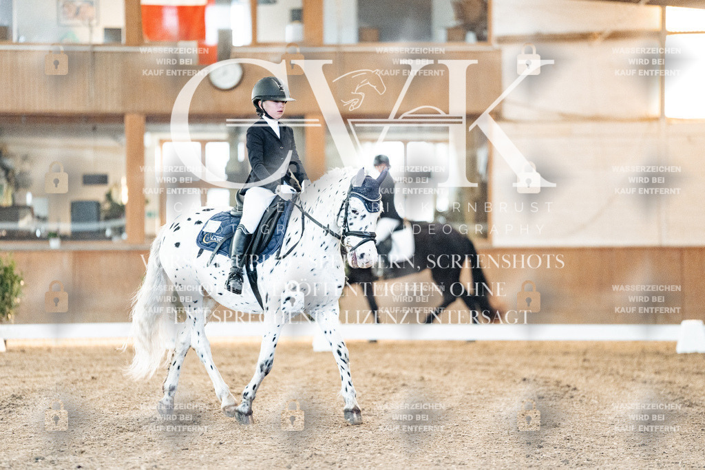 CK906363 | Turnierfotografie Pferdefotografie Trier Rheinland-Pfalz Pferdesport Reitsport Tierfotografie Sportfotografie Pferdevideo Pferdevideografie Equestrianvideography equestrianphotography  - Realisiert mit Pictrs.com