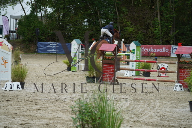 VAN00175 | Marie Giesen Fotografie - Realisiert mit Pictrs.com