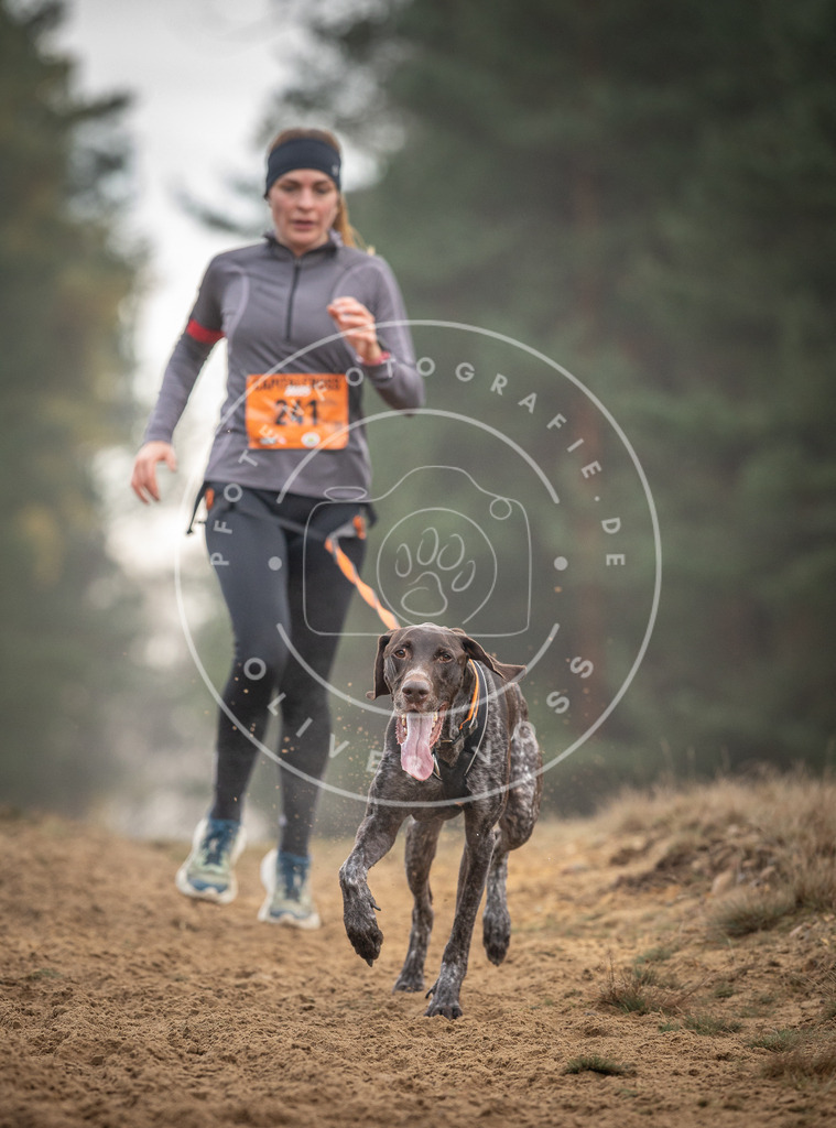 Pfotenfotografie_DV3A5701 | Hundefotografie, Tierfotograf, Pfotenfotografie, Fotoshooting Hund, Hunde Portrait, Hundesport, Hundeportraits, Heideshooting, Hunde, Sportfotograf, Hundefotograf, Turnierhundsport, THS,  - Realisiert mit Pictrs.com
