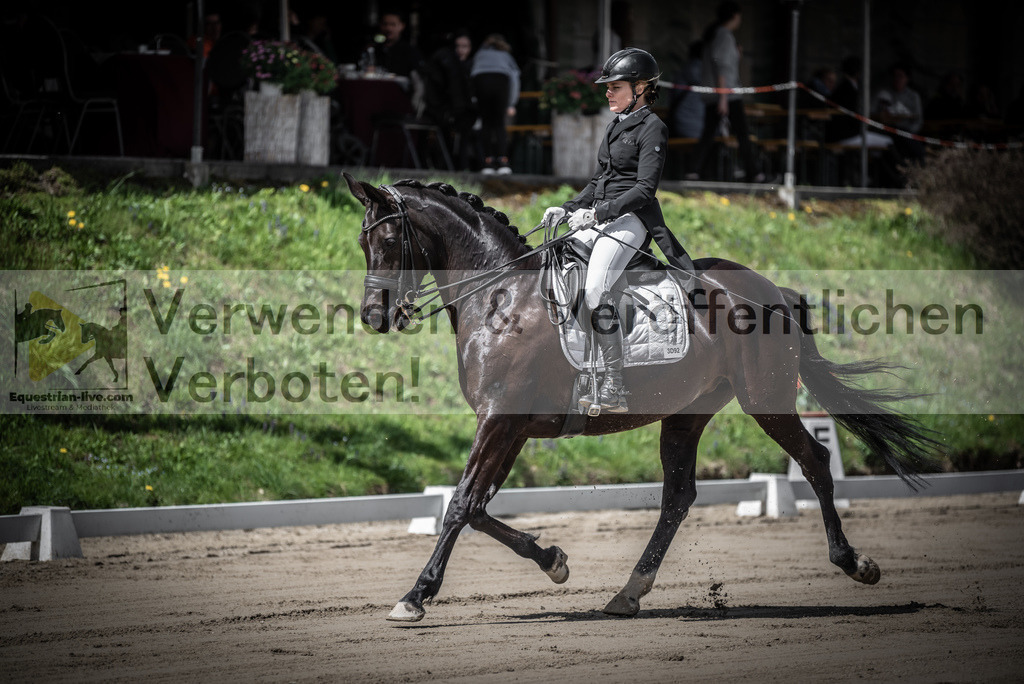 DSC_1657 | equestrian-live-com
