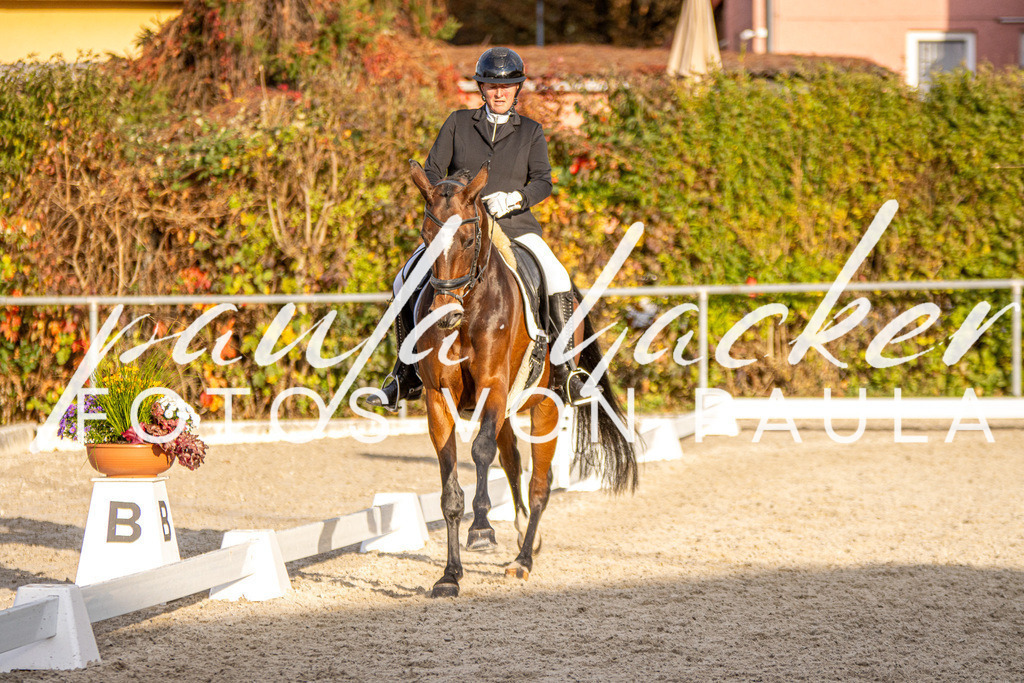 IMG_4548 | Erleben Sie dynamische Sport- und emotionale Tierfotografie in Süddeutschland mit Fotos von Paula. Spezialisiert auf Pferde- und Hundefotografie sowie Sportevents. Kontaktieren Sie mich für einzigartige und ausdrucksstarke Bilder Ihrer besonderen Momente. - Realisiert mit Pictrs.com