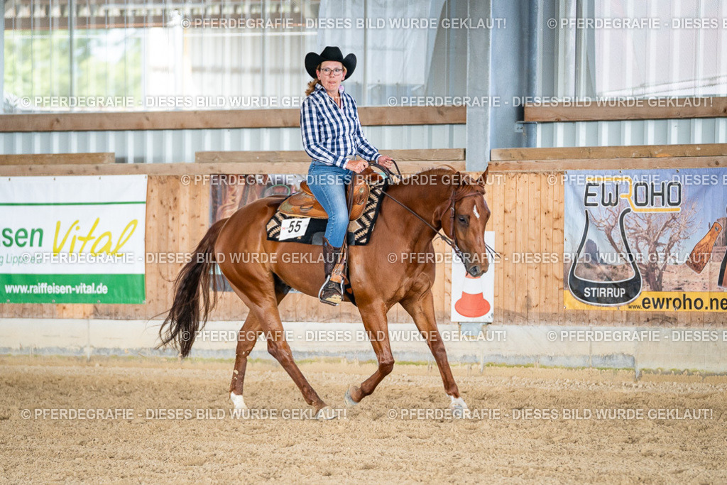 DSC08825 | Pferdegrafie