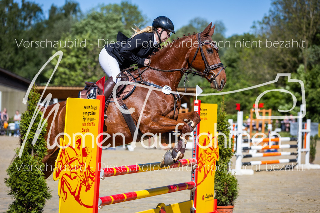 Donop24-A2Spr-132 | MomenTaufnahmen Pferdesportfotos