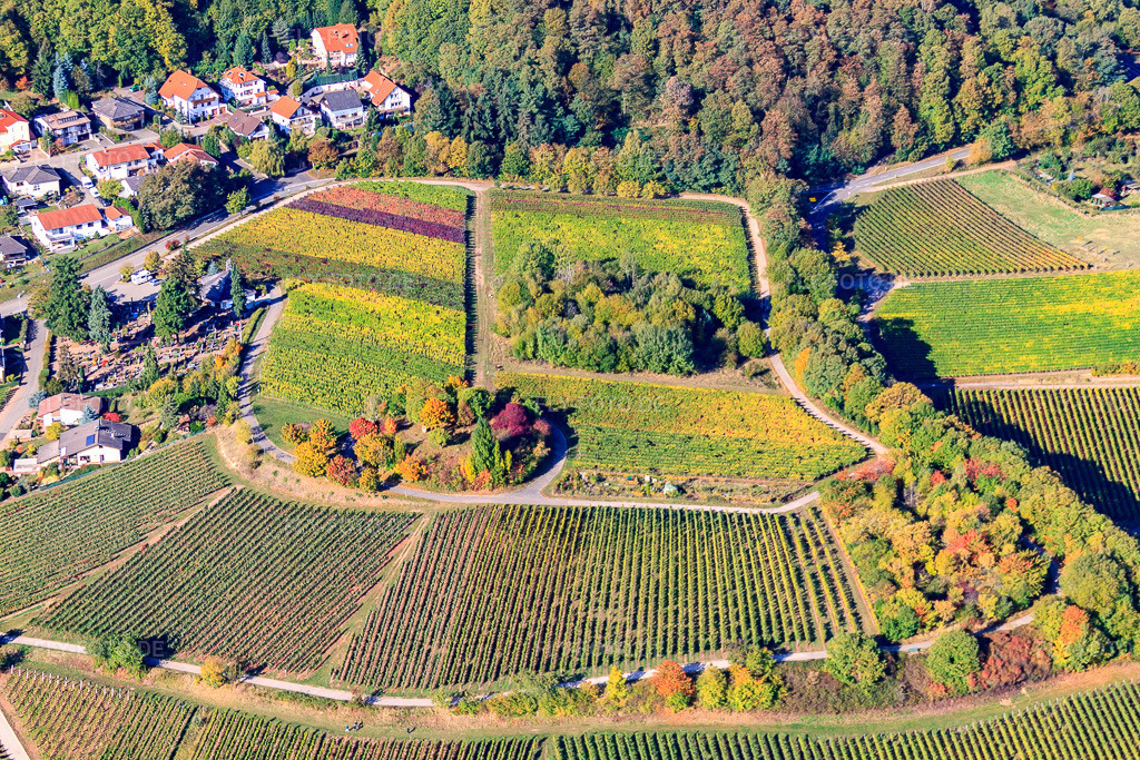 Luftbild: Baum-Insel auf einem Weinberg in Burrweiler im Bundesland Rheinland-Pfalz in Deutschland. Foto: IMG_22233.jpg vom 15.10.2009 durch Werner Riehm/FLY-FOTO.de