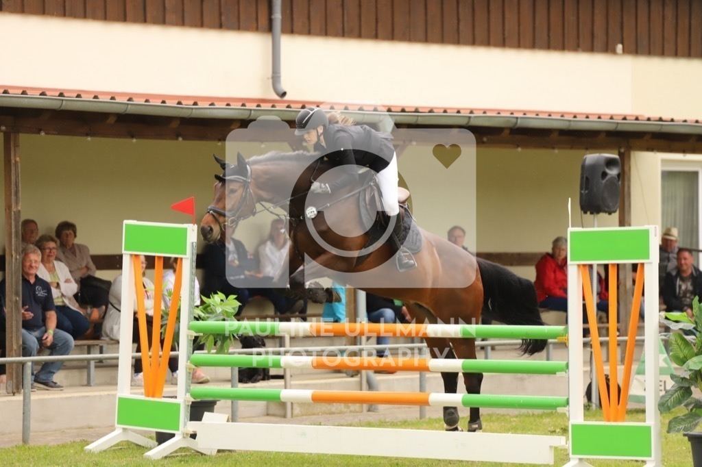 IMG_7677 | Pauline Ullmann Photography - Realisiert mit Pictrs.com