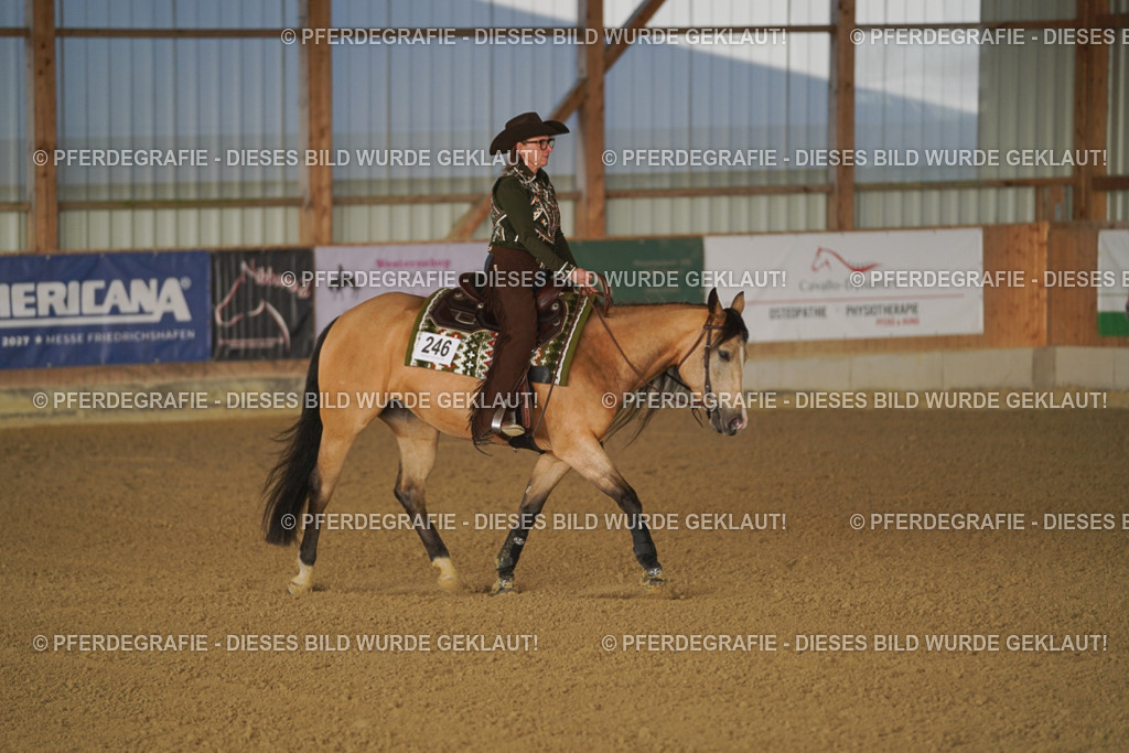 DSC08311 | Pferdegrafie