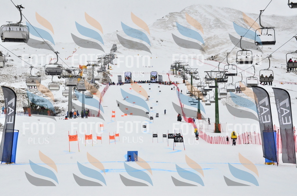 _ELE3616 | holidayphoto