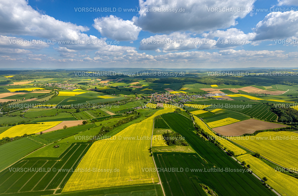 Brakel240504831Erkeln | Luftbild, grüne Wiesen und gelbe Rapsfelder an der Rheder Straße, Blick zum Wohngebiet Ortsansicht Ortsteil Erkeln, Fernsicht und blauer Himmel mit Wolken, Erkeln, Brakel, Ostwestfalen, Nordrhein-Westfalen, Deutschland