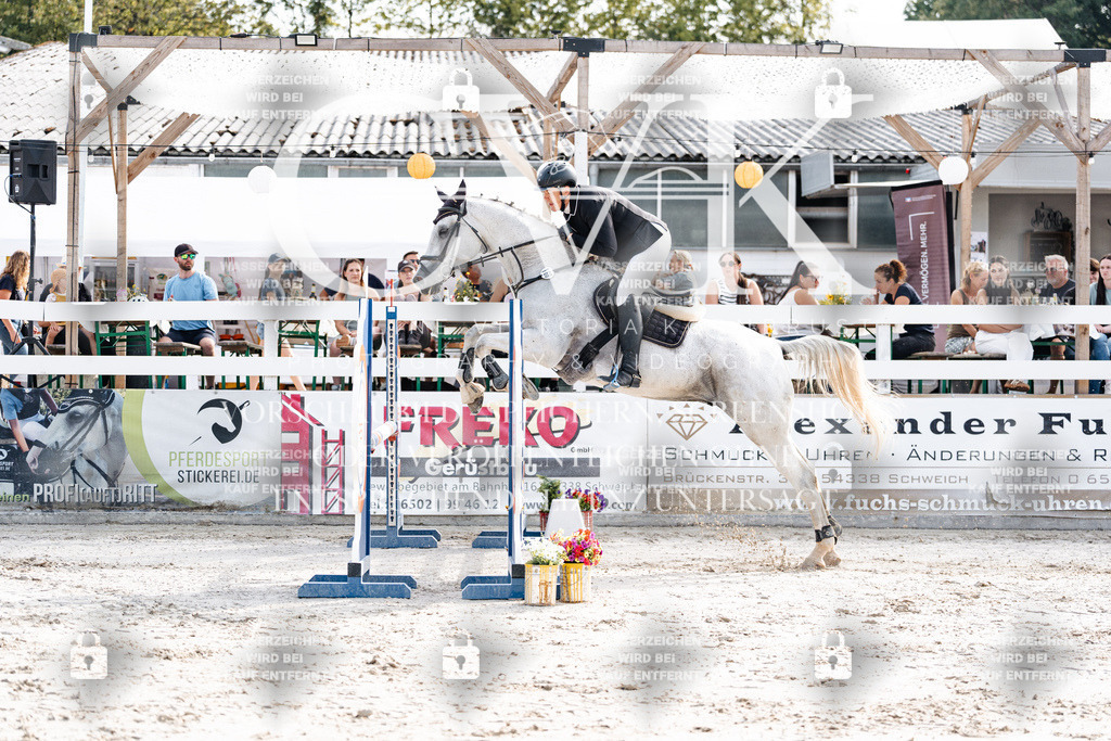 CK905577 | Turnierfotografie Pferdefotografie Trier Rheinland-Pfalz Pferdesport Reitsport Tierfotografie Sportfotografie Pferdevideo Pferdevideografie Equestrianvideography equestrianphotography  - Realisiert mit Pictrs.com