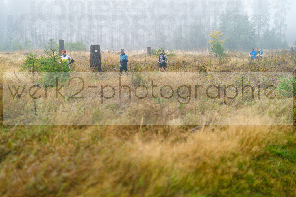 Herbstlauf 2025 | Rennsteig-Herbstlauf am 5. Oktober 2025 von Neuhaus/Rwg. nach Masserberg