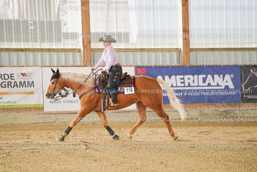 DSC02930 | Pferdegrafie