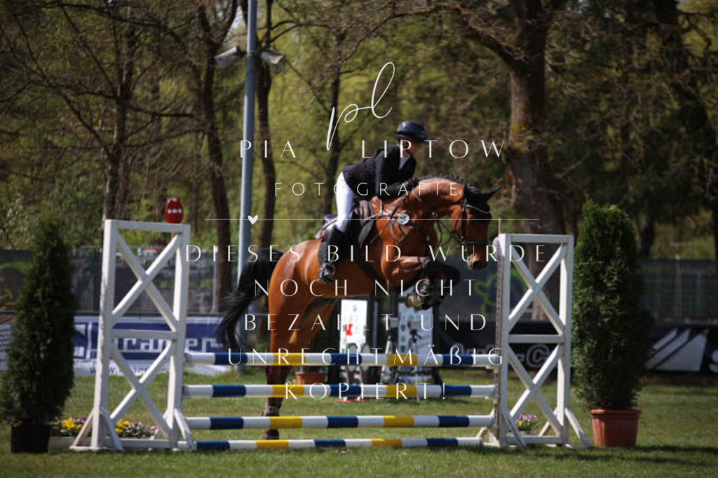 IMGT5498 | pl-fotografie