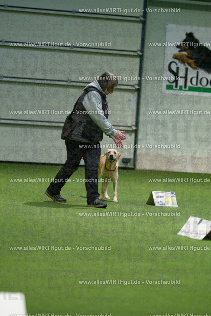 7R504646 | Professionelle Tierfotografie in Mönchengladbach von Daniel Wirth (allesWIRTHgut). Liebevolle & natürliche Bilder von Hunden & Katzen für unvergessliche Erinnerungen.