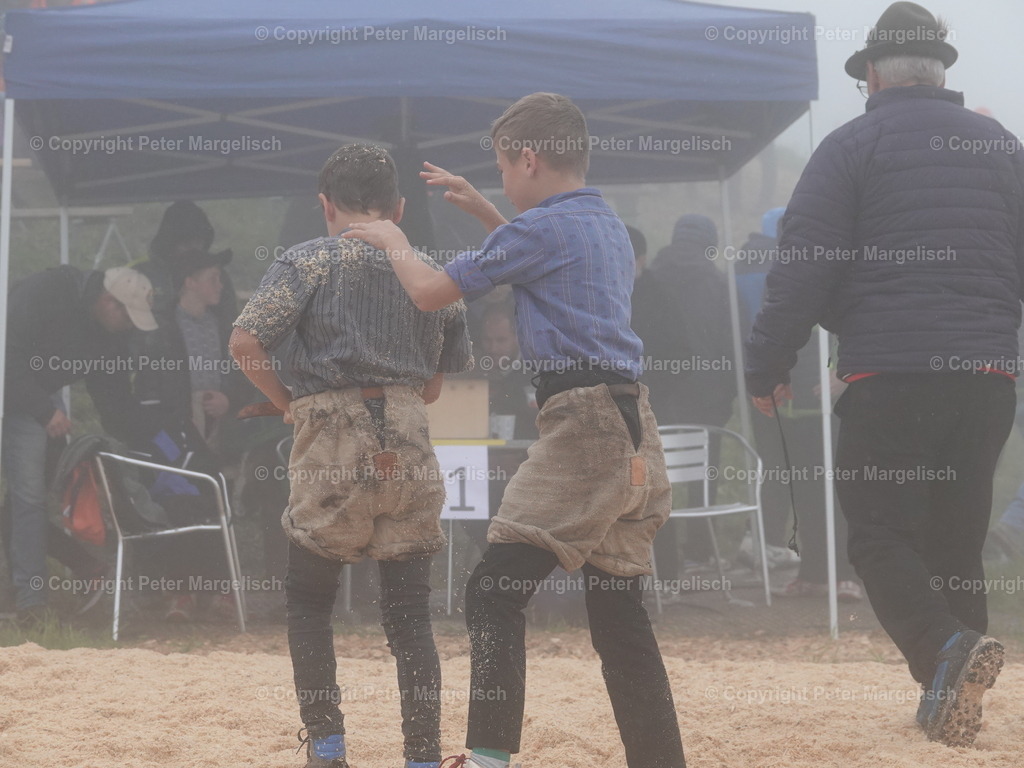 DSC07842 | Schwingen - Realisiert mit Pictrs.com